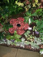 Albums/20200303-Kew Gardens/32